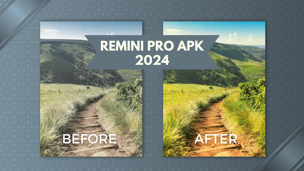 Remini Pro APK